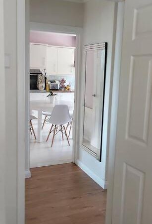 Bellevue Bungalow - Comfortable Home With Amazing Views Belfast Ngoại thất bức ảnh
