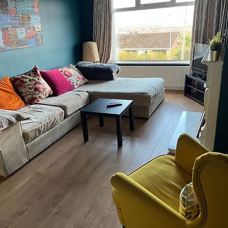 Bellevue Bungalow - Comfortable Home With Amazing Views Belfast Ngoại thất bức ảnh