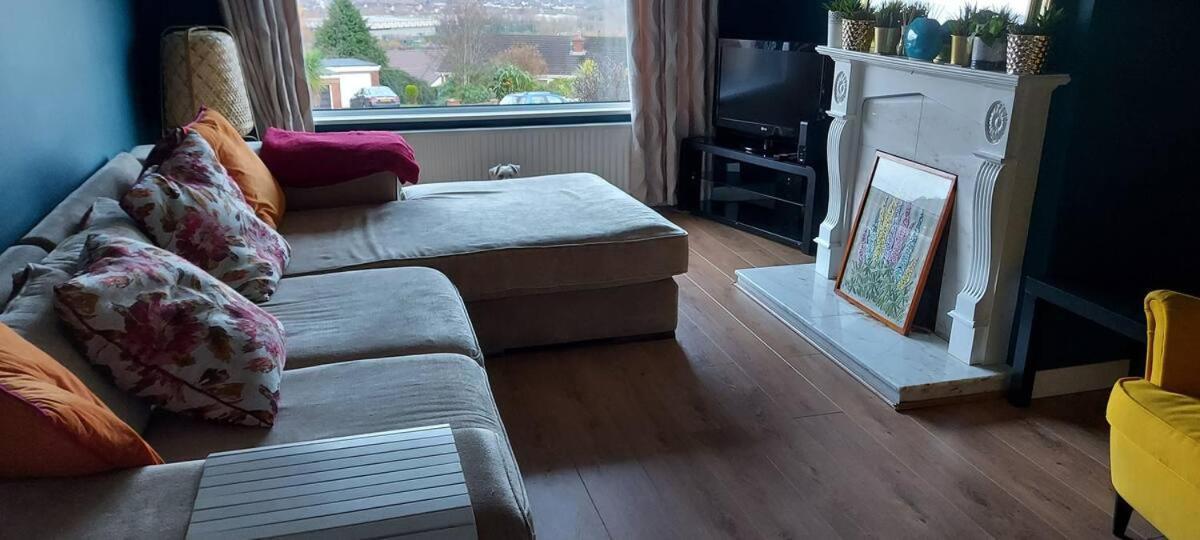 Bellevue Bungalow - Comfortable Home With Amazing Views Belfast Ngoại thất bức ảnh