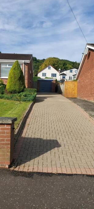 Bellevue Bungalow - Comfortable Home With Amazing Views Belfast Ngoại thất bức ảnh