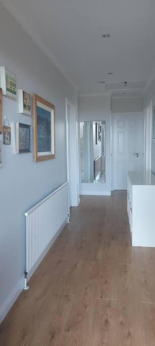 Bellevue Bungalow - Comfortable Home With Amazing Views Belfast Ngoại thất bức ảnh