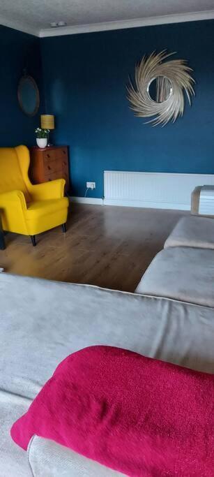 Bellevue Bungalow - Comfortable Home With Amazing Views Belfast Ngoại thất bức ảnh