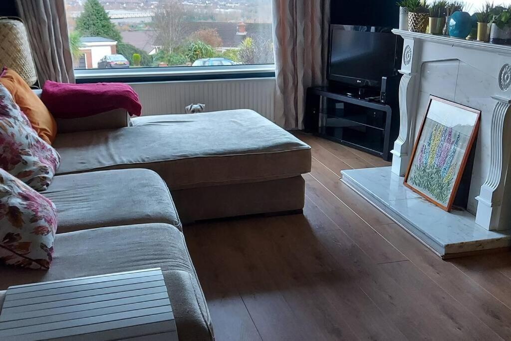 Bellevue Bungalow - Comfortable Home With Amazing Views Belfast Ngoại thất bức ảnh