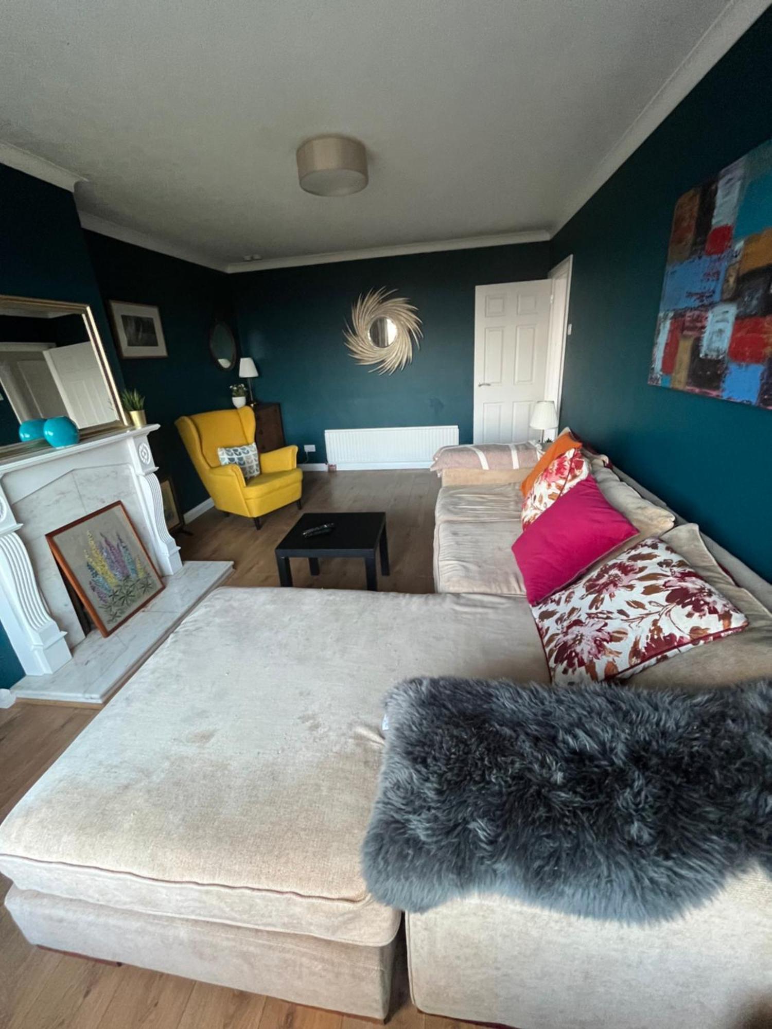 Bellevue Bungalow - Comfortable Home With Amazing Views Belfast Ngoại thất bức ảnh