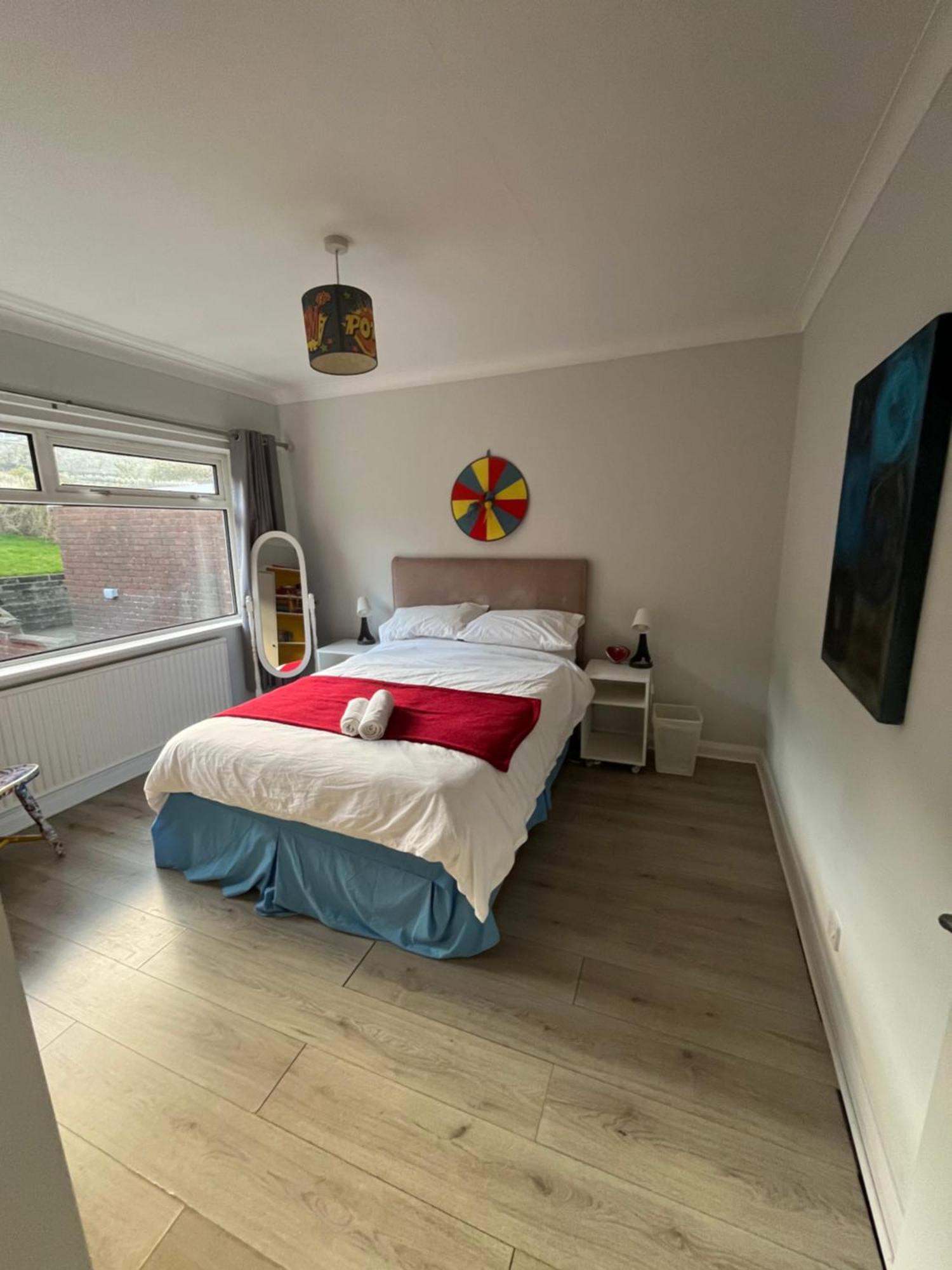 Bellevue Bungalow - Comfortable Home With Amazing Views Belfast Ngoại thất bức ảnh